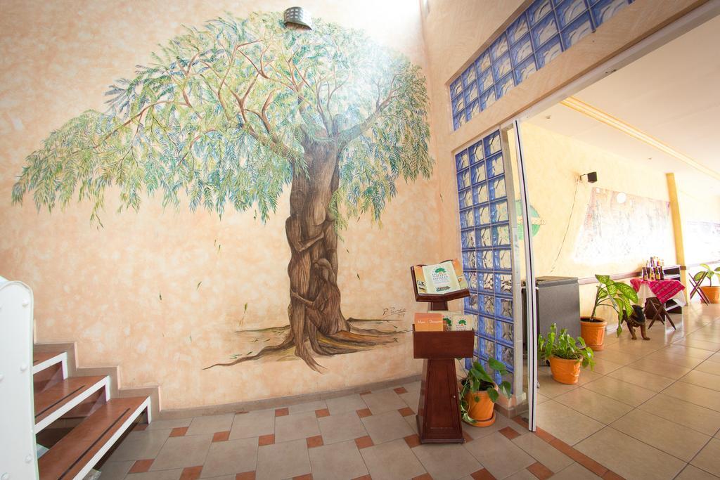 Hotel Los Sauces Oaxtepec Exterior photo